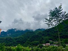 -茯茶镇