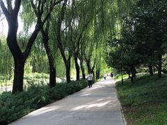 -元大都城垣遗址公园