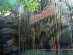 1-绿色时代大酒店