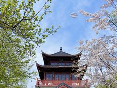 -堤角公园