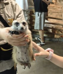 -Zoolung Zoolung动物主题公园(海信广场店)
