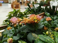 -厦门市图书馆(集美新城馆区)