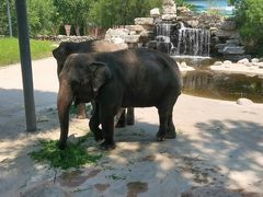 -北京野生动物园