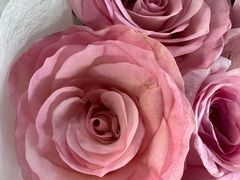 -小红楼美术馆·咖啡