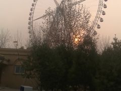 -石家庄市动物园