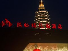 -听松楼·花园酒店·自助餐厅(红梅公园店)