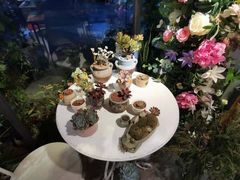 -花十悦·鲜花咖啡餐厅(振业城一期店)