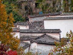 -塔川景区