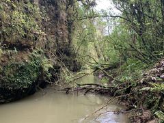 -怀托摩萤火虫洞