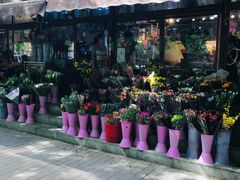 -宝鸡东道花鸟鱼虫市场(吉利花园商场店)