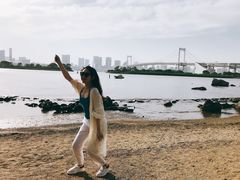 -台场海滨公园船码头