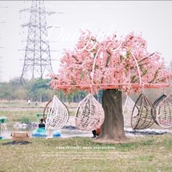 -268童话露营营地·烧烤·团建
