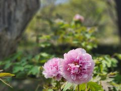 -上海交通大学(闵行校区)