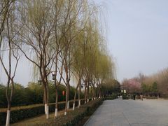 -西安汉城湖景区