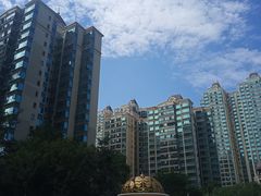 -秦美花卉(天朗·莱茵小城2期店)