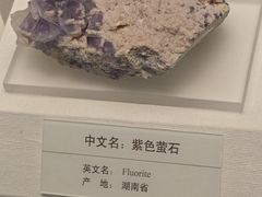 -天津自然博物馆