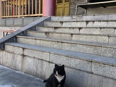 -雁门关景区