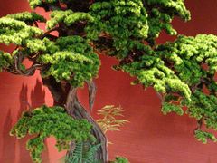 -阿伟海鲜楼·福建菜(延寿店)