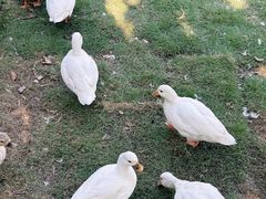 -HERRE·FARM 赫尔露营农场·团建聚会包场