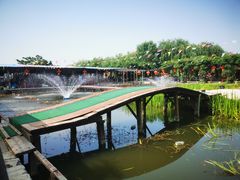 -同銮特种养殖场·龙虾垂钓