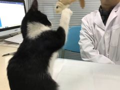 -莘程宠物医院(金山店)