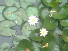 -南戴河国际娱乐中心