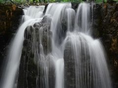 -龙苍沟森林公园
