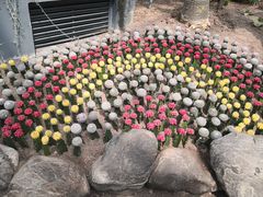 -南山植物园
