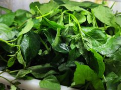 -黔府豆米火锅野菜馆(南马店)