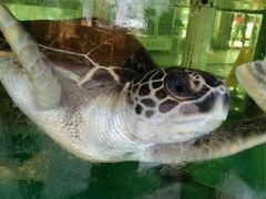 -北海市海滨公园