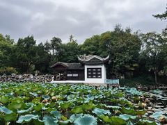 -无锡蠡湖国家湿地公园-蠡园