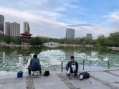 -青城公园