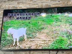 -呼吸森林·生态农庄农家乐私房菜