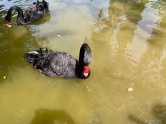 -舜耕山庄四时万和自助餐厅