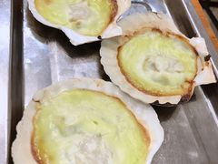 经典芝士扇贝-炒豆合作社(东四总店)