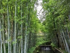 -广东温泉宾馆