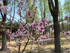 -东郊湿地公园