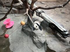 -宁波野生动物园