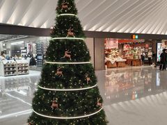 -深圳湾万象城(南山店)