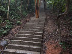 -梧桐山风景名胜区