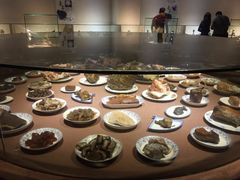 -陕西自然博物馆