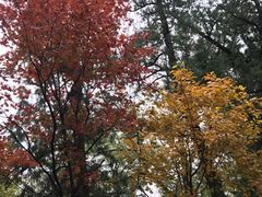 -香山公园-东宫门售票处