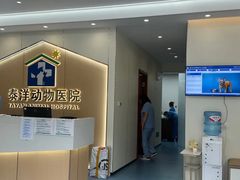 -泰洋动物医院·神经专科·磁共振·CT(天河公园总院)