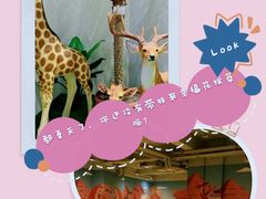 -幸福花欢乐世界(东辰广场A座店)