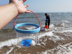 -金梦海湾浴场
