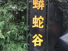 -梦幻奥陶纪景区