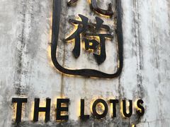 -几荷·恰似故人来(秀水广场店)