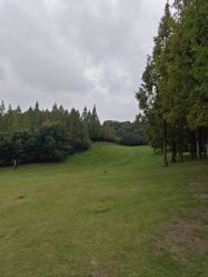 -雅云婚纱摄影工作室旗舰店