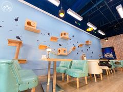 -猫咪咖啡·猫咖(万达广场店)