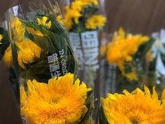 -鹿岛会员店 (龙湖三千集天街店)